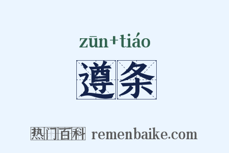 遵条是什么意思的图片